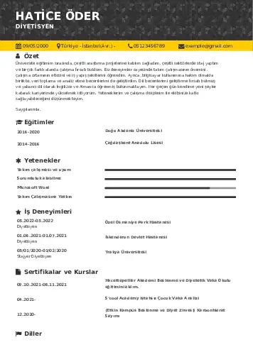 Beslenme Uzmanı Diyetisyen CV Örnekleri cv indir